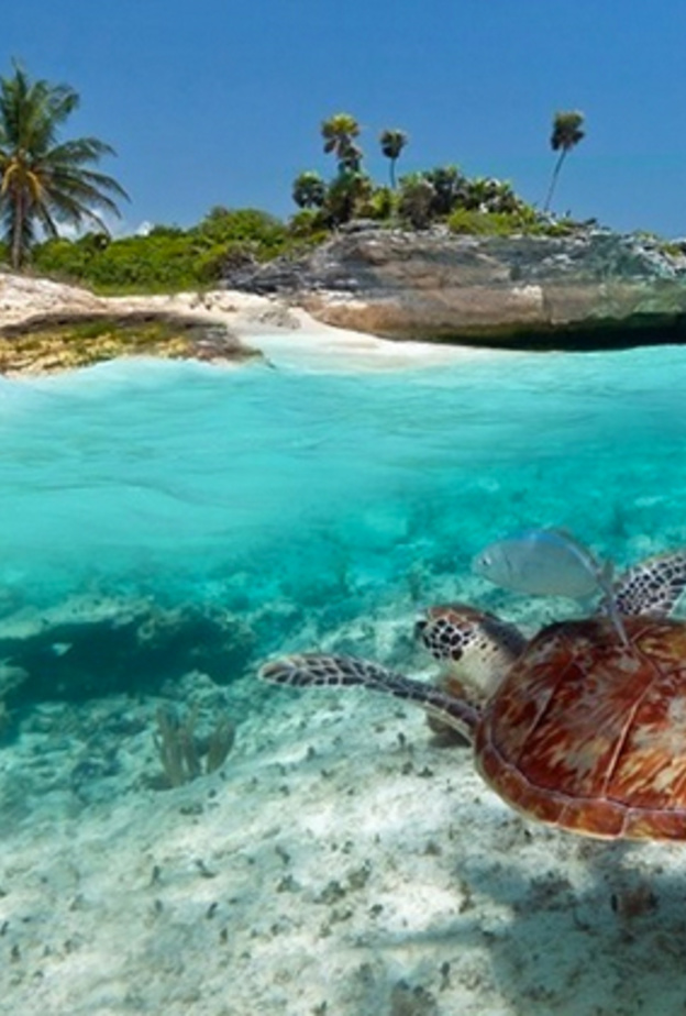 من سالزبورغ