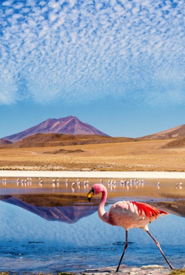  تعلم عدد من العبارات والكلمات الأساسية الهامة باللغة الإسبانية