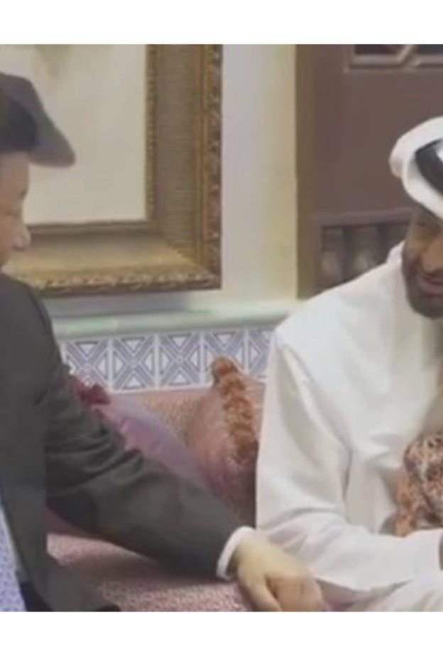 لقاء الرئيس الصيني بالشيخ محمد بن زايد وسط عائلته وأحفاده