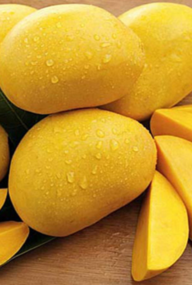 المانجو تعزز مناعة الجسم لدى مريض السكري