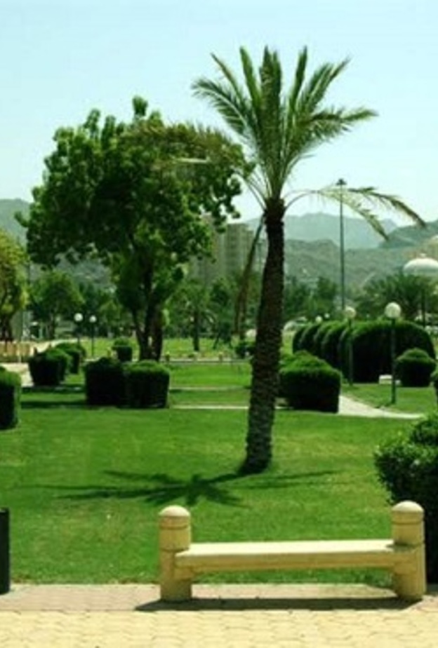 الحديقة الذكية في إمارة الحدود الشمالية سوف تعمل بالطاقة الشمسية