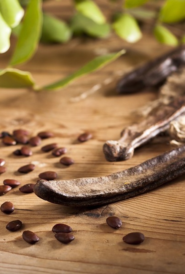 الخروب يمنح مريض السكري الطاقة والنشاط