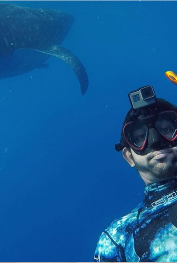 فزاع يسبح مع الحوت الأزرق أخطر أسماك القرش