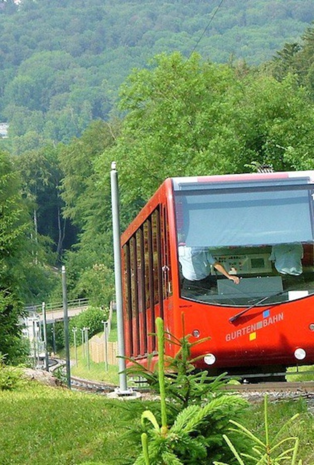 حديقة الدببة في الاماكن الممتعة للزيارة خلال شهر العسل