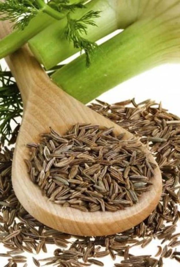  الشمر يقي من أمراض السرطان