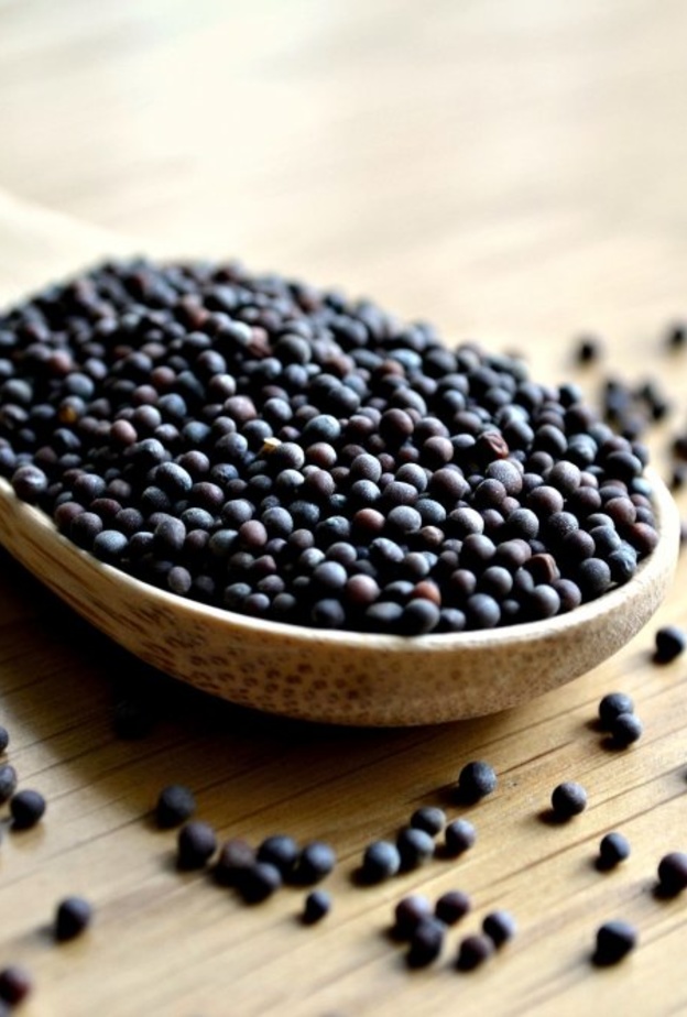 فوائد تناول حبوب الخردل الخام يوميا