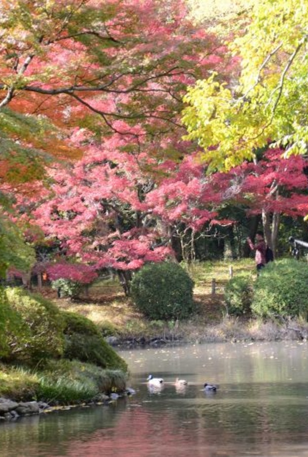  مارينا برايتون