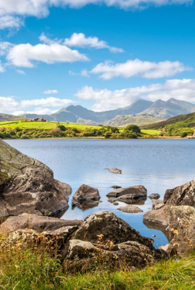 تقدم كويلز نشاطات لا تعد ولا تحصى