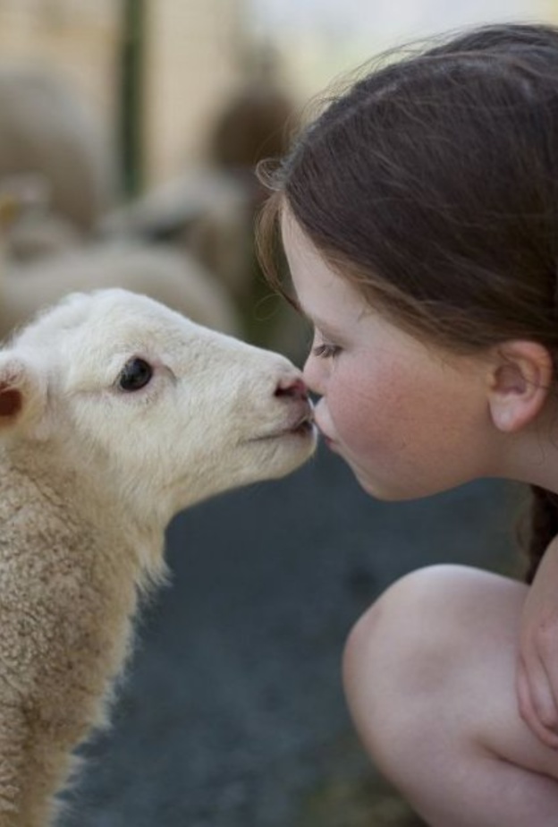 ما هو السن المناسب للأطفال لرؤية ذبح الأضحية