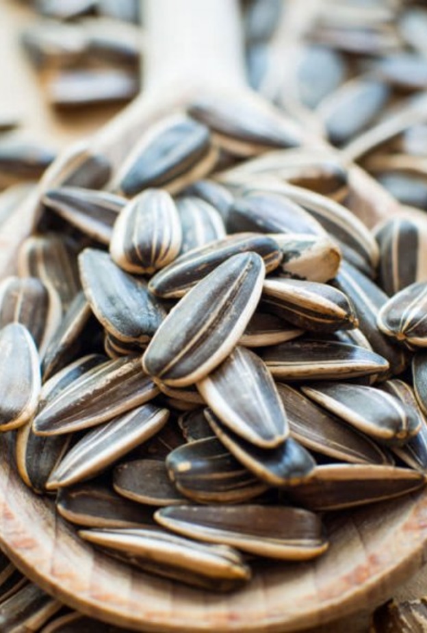 اللب السوري يقي من السكري من النوع الثاني