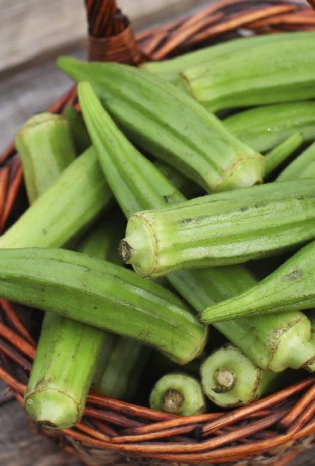 البامية تعزز مناعة الجسم