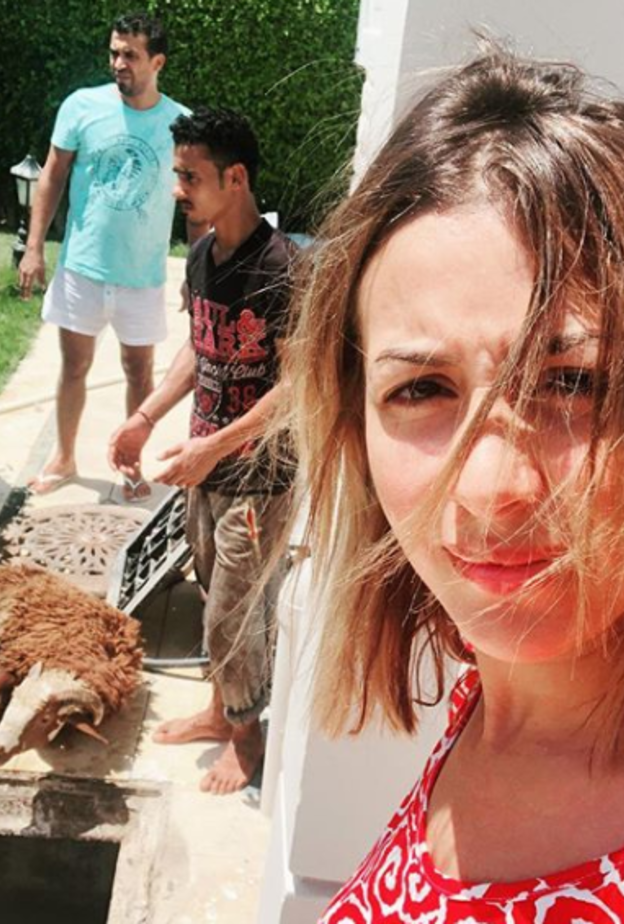 جنات وخروف العيد