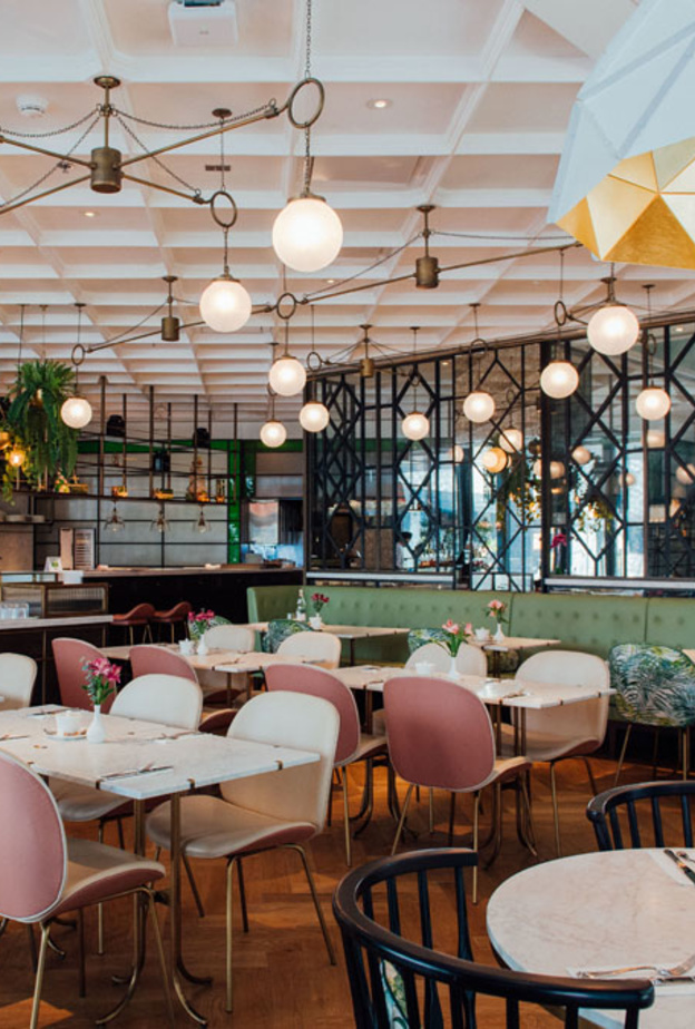 طبق الدجاج المميز