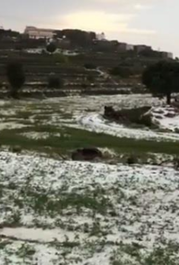 التزلج على الثلوج