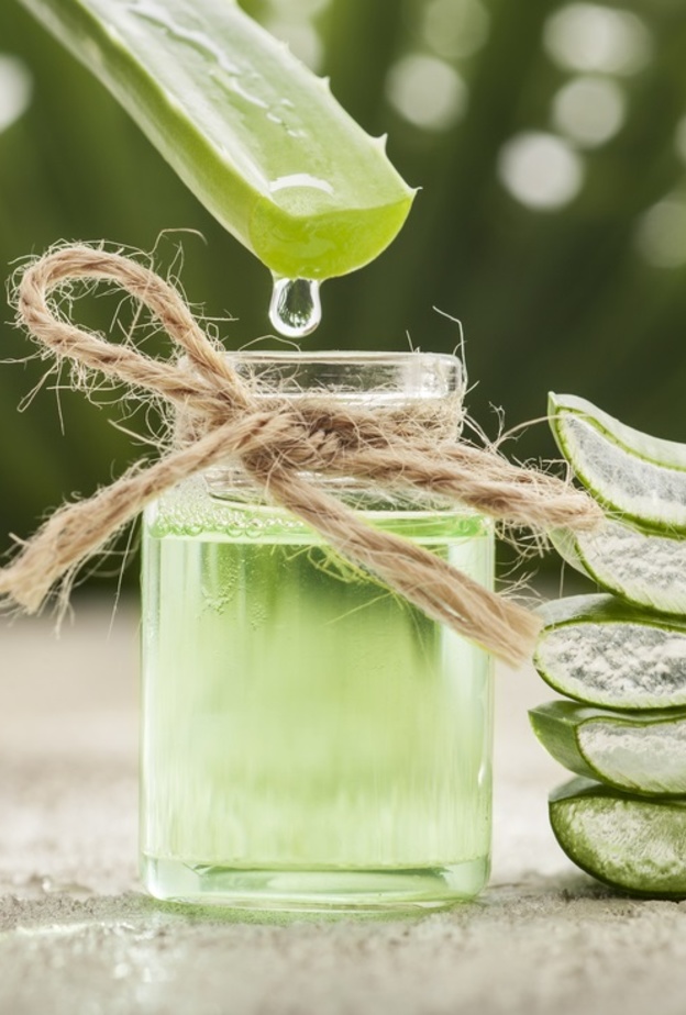 فوائد الالوفيرا للتنحيف وانقاص الوزن