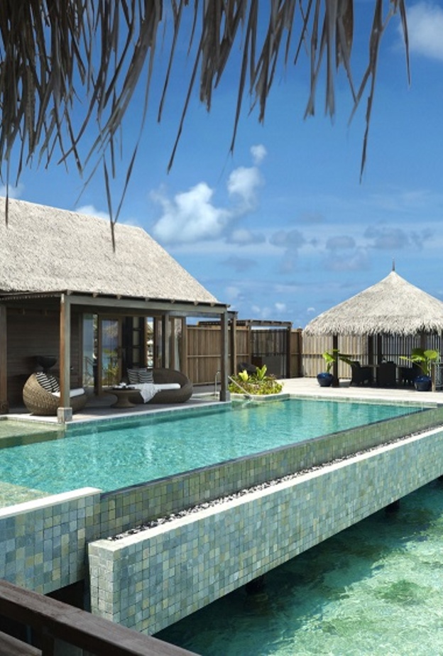 الجناح في المياه