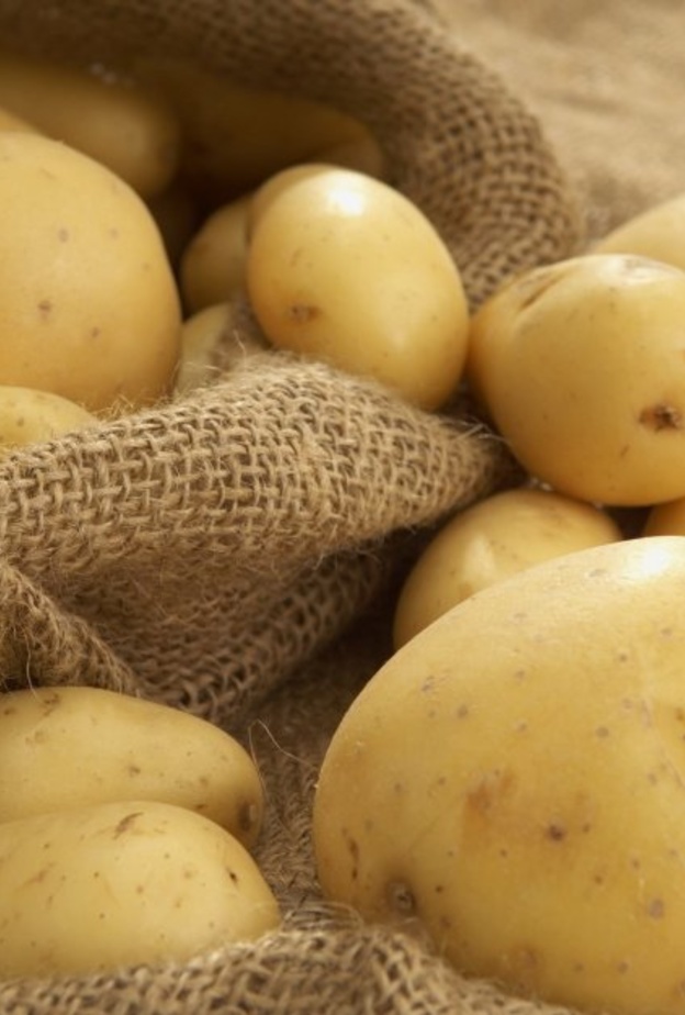  البطاطا تعزز المناعة لدى مريض السكري
