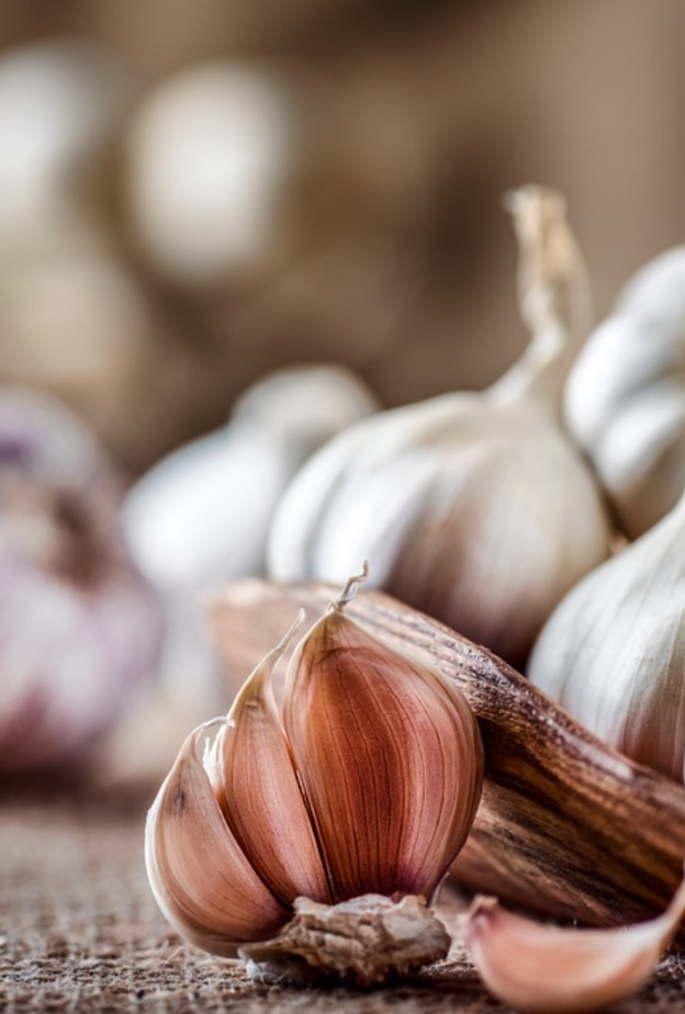 فوائد تناول الثوم على الريق
