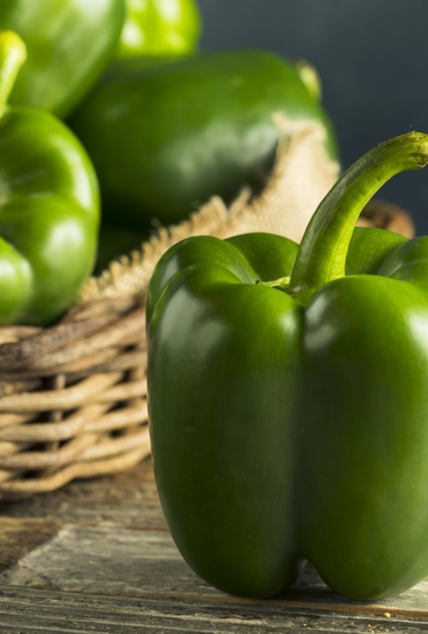 فوائد الفلفل الاخضر البارد للجسم