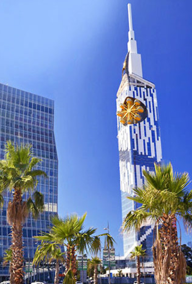 من بحيرة Turtle