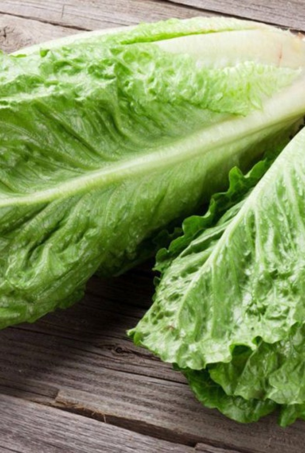 الخس يعزز مناعة الجسم لدى مريض السكري