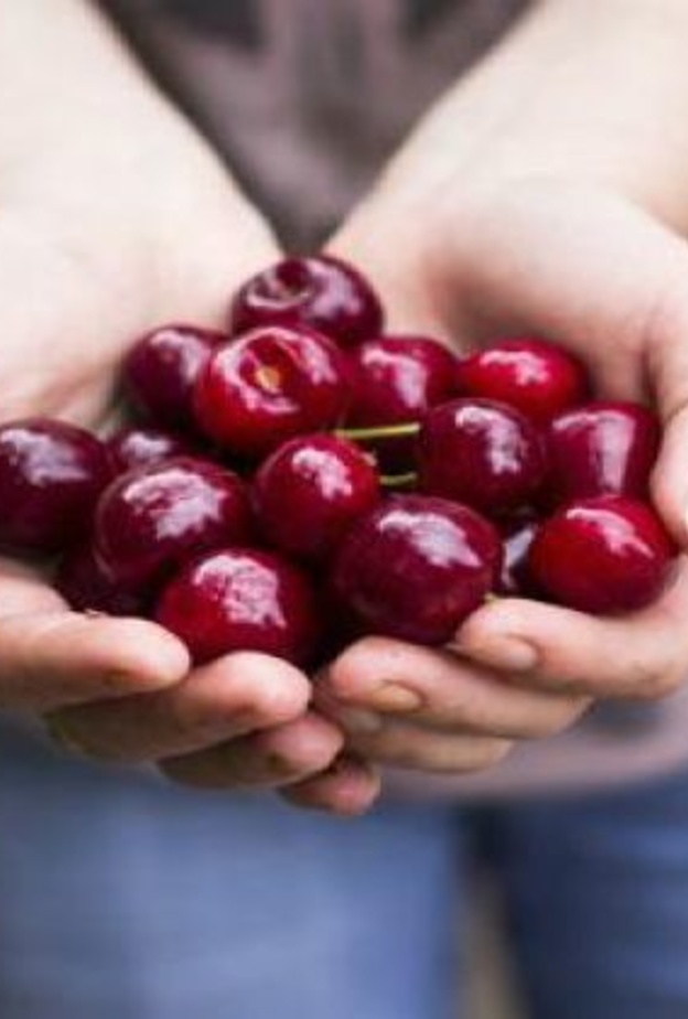 الكرز يقي من اضطرابات القلب التي يسببها فقر الدم