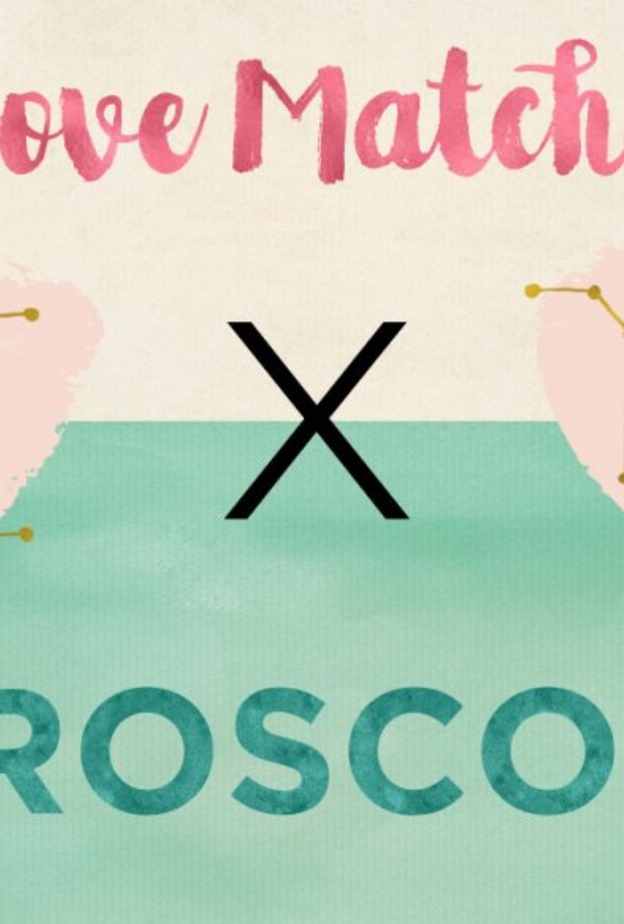 تُعتبر العلاقة بين برج العذراء الترابي والجوزاء الهوائي جيّدة وناجحة خصوصاً على الصعيد العملي والعاطفي