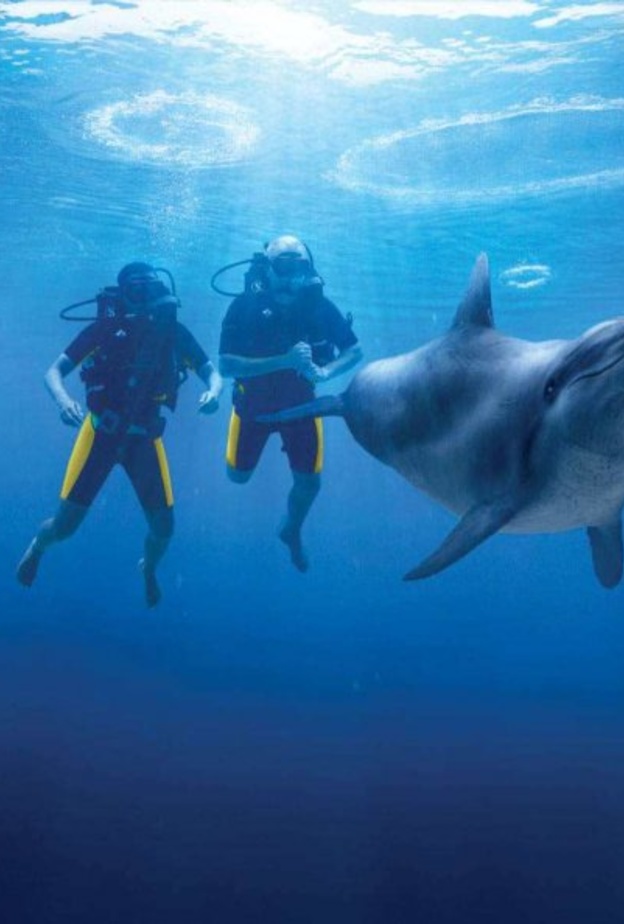 الكاياك من الانشطة المثيرة خلال شهر العسل