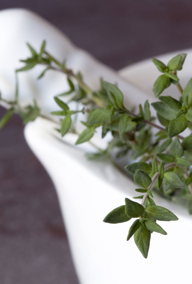 يفيد مغلي الزعتر في إنقاص الوزن و اذابة الدهون