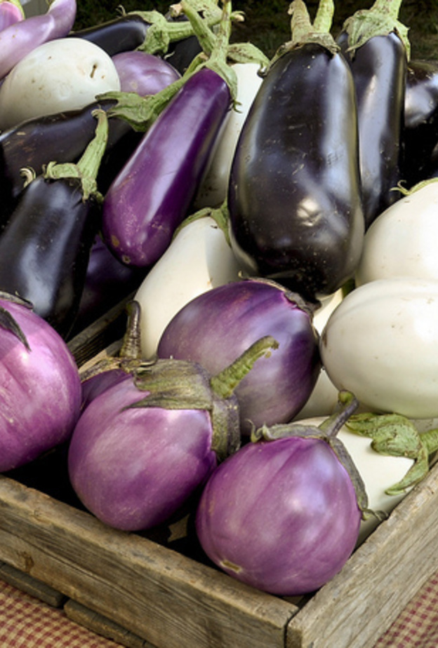 الباذنجان مفيد لصحة المعدة و الكبد