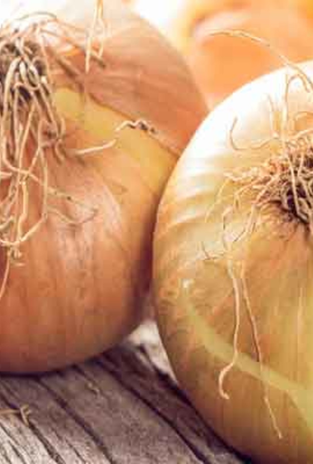 البصل يقي من هشاشة العظام