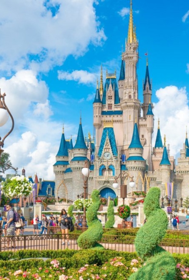  إيفرجلادز Everglades