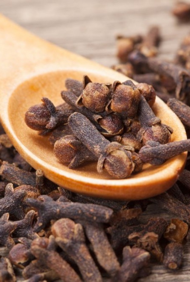 فوائد القرنفل واضراره