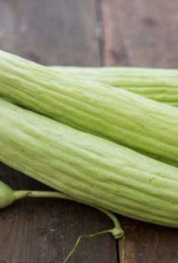 القثاء يعزز مناعة الجسم