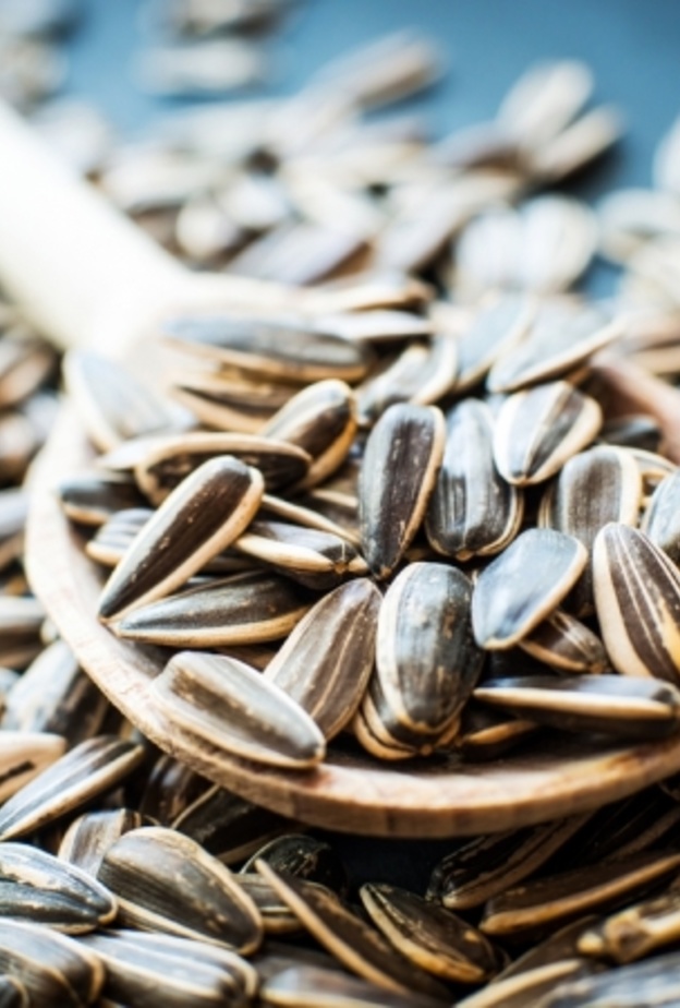  بذور دوار الشمس تعزز مناعة الجسم