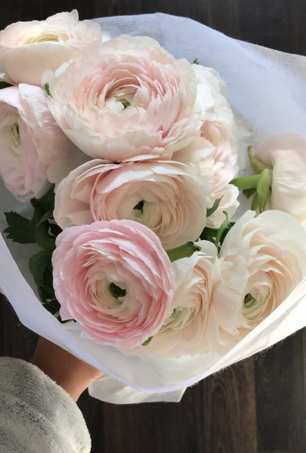 ورد الحوذان