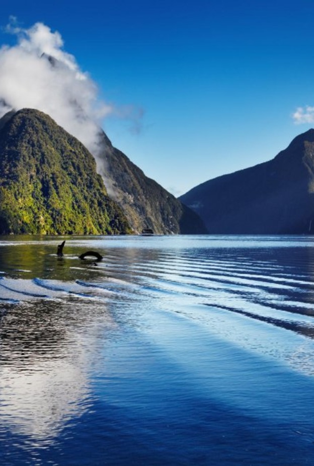 لا يمكن مقاومة متعة الرحلة في نيوزيلندا