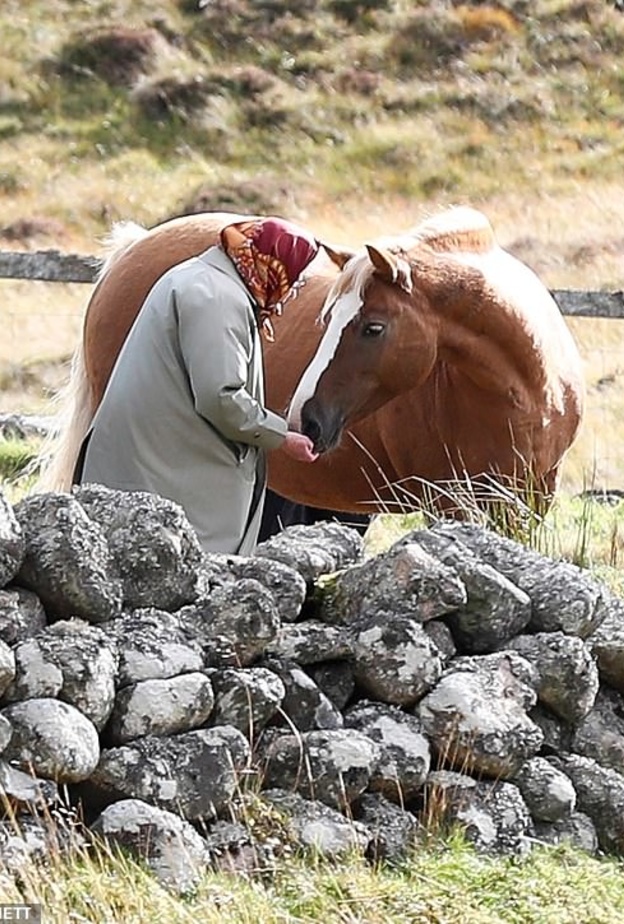  الأمير فيليب لم يظهر بصحبة ملكة بريطانيا في رحلة الصيد