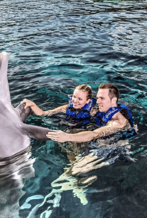 للسباحة مع الحيتان متعة لاتوصف خلال شهر العسل