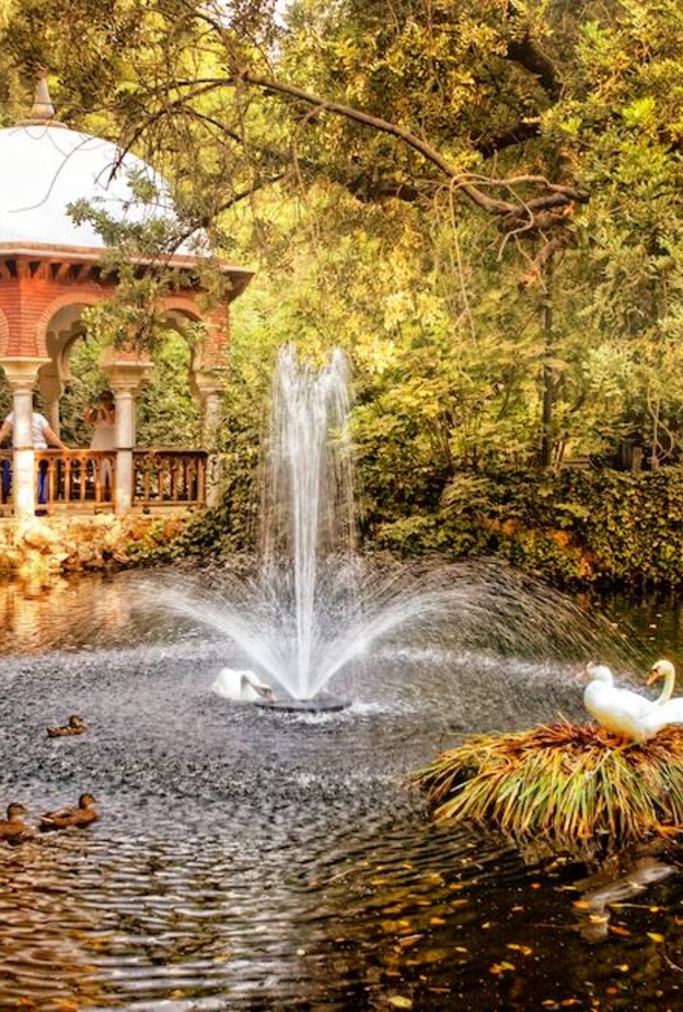 مدينة نوفوسيبيرسك