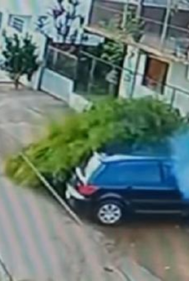 نجاة راكب دراجة من موت محقق في حادث مروع