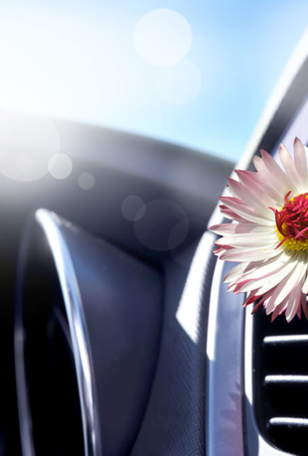 رائحة السيارة السيئة