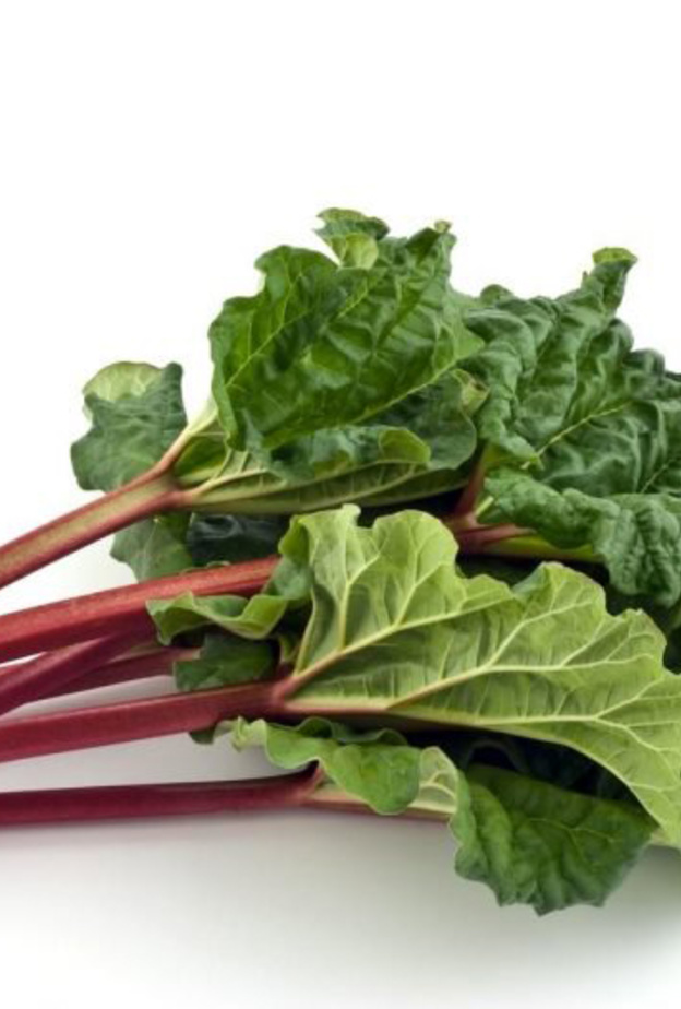 عشبة الراوند تعزز مناعة الجسم