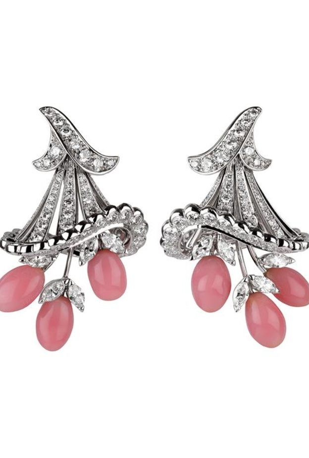 بروش من سيندي تشاو Cindy Chao