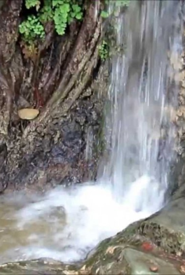 تميزت قرية ذي عين بعيونها العذبة