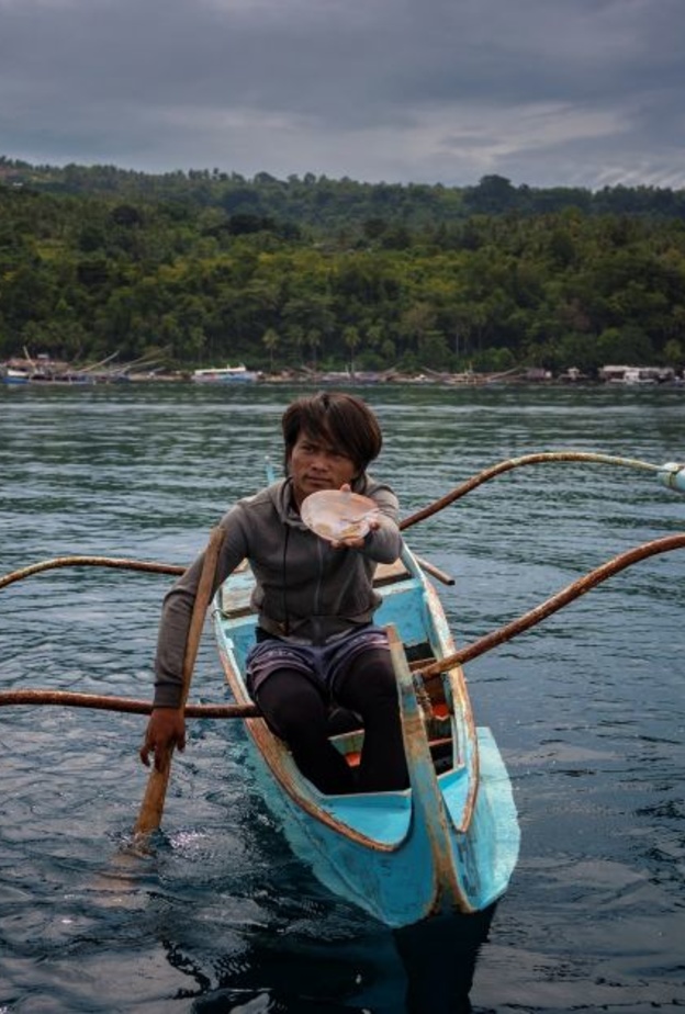 جمالية منتجع بيرل فارم بيتش