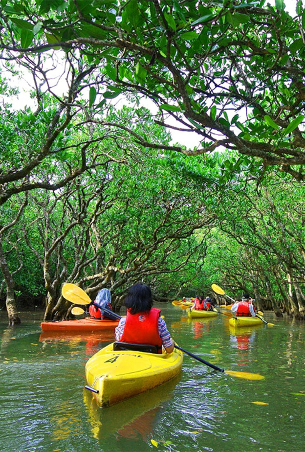 افضل جولات تجديف الكاياك في أبوظبي