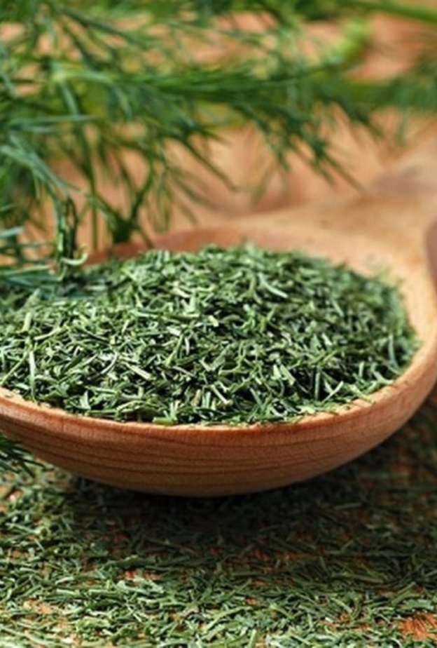 فوائد الشبت لإنقاص الوزن