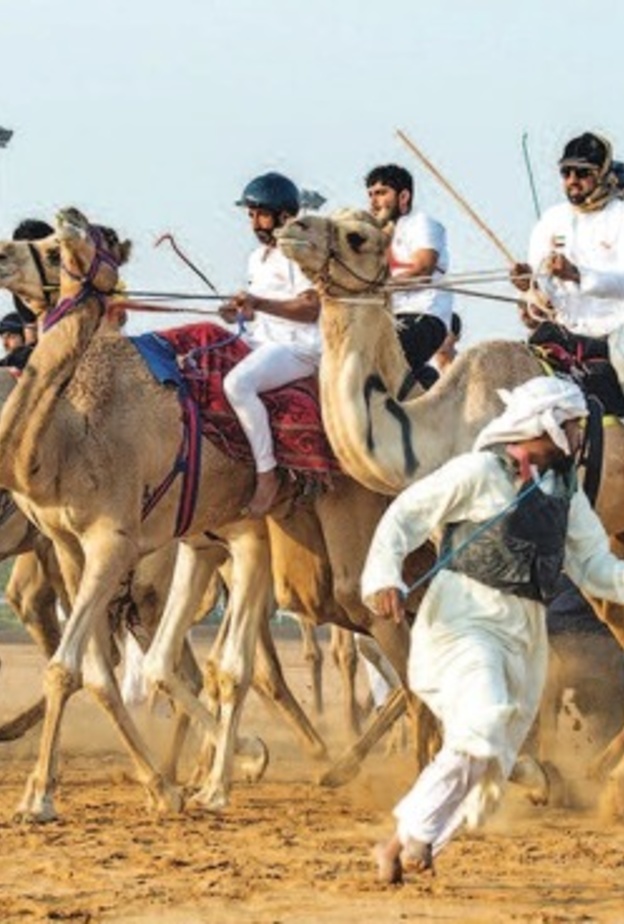 إقامة ماراثون اليوم الوطني للهجن في 8 فبراير