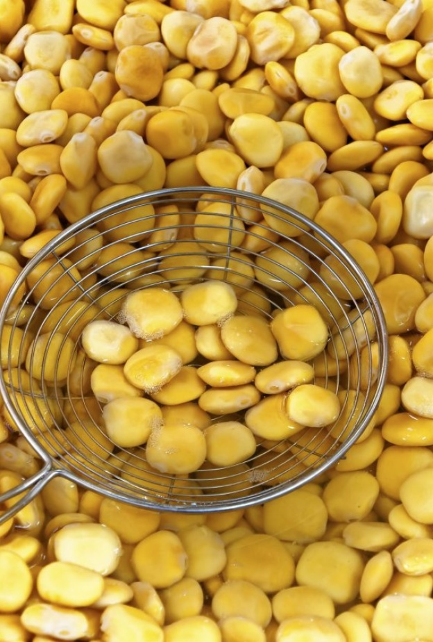  يساعد الترمس على تخليص الجسم من السوائل السامة عن طريق إدرار البول